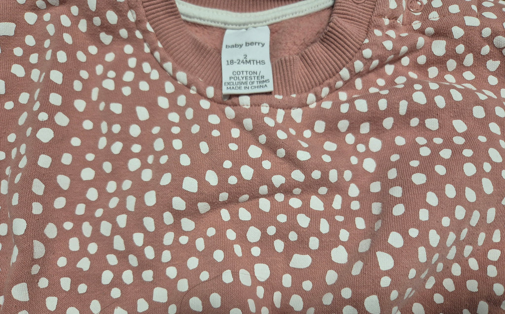 Baby berry jumper