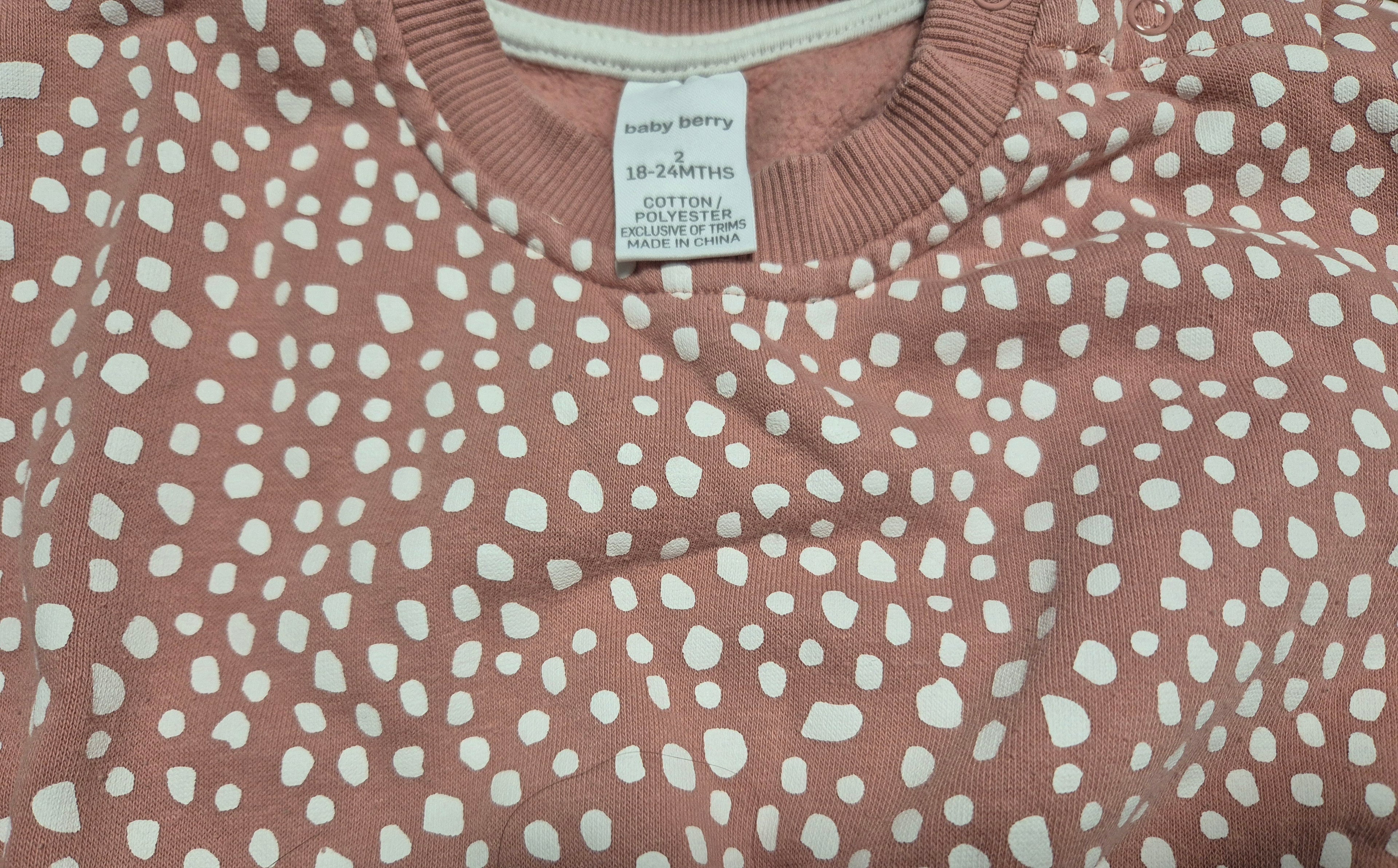 Baby berry jumper