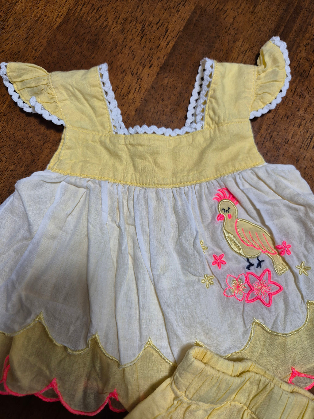 Pumpkin patch - Set
