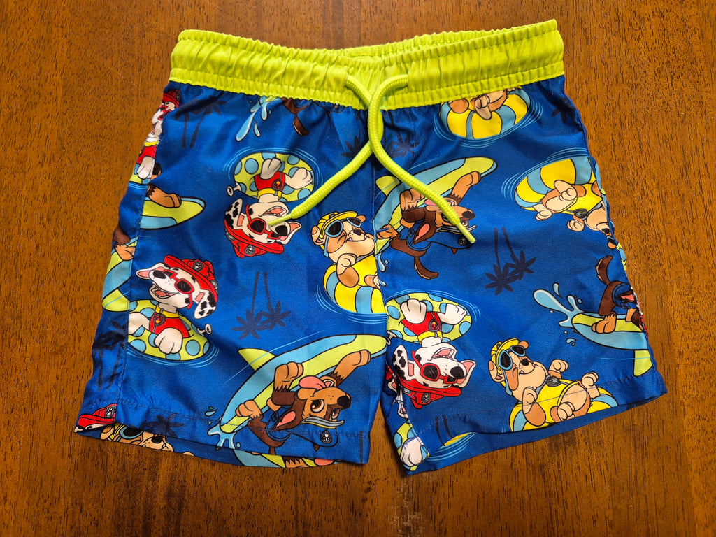 Paw Patrol- Swimmers set