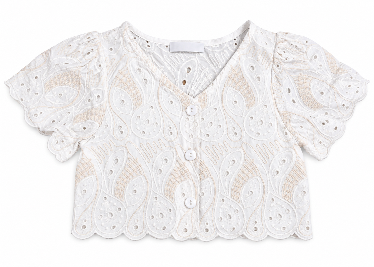 Zara: Embroidered Eyelet Crop Top