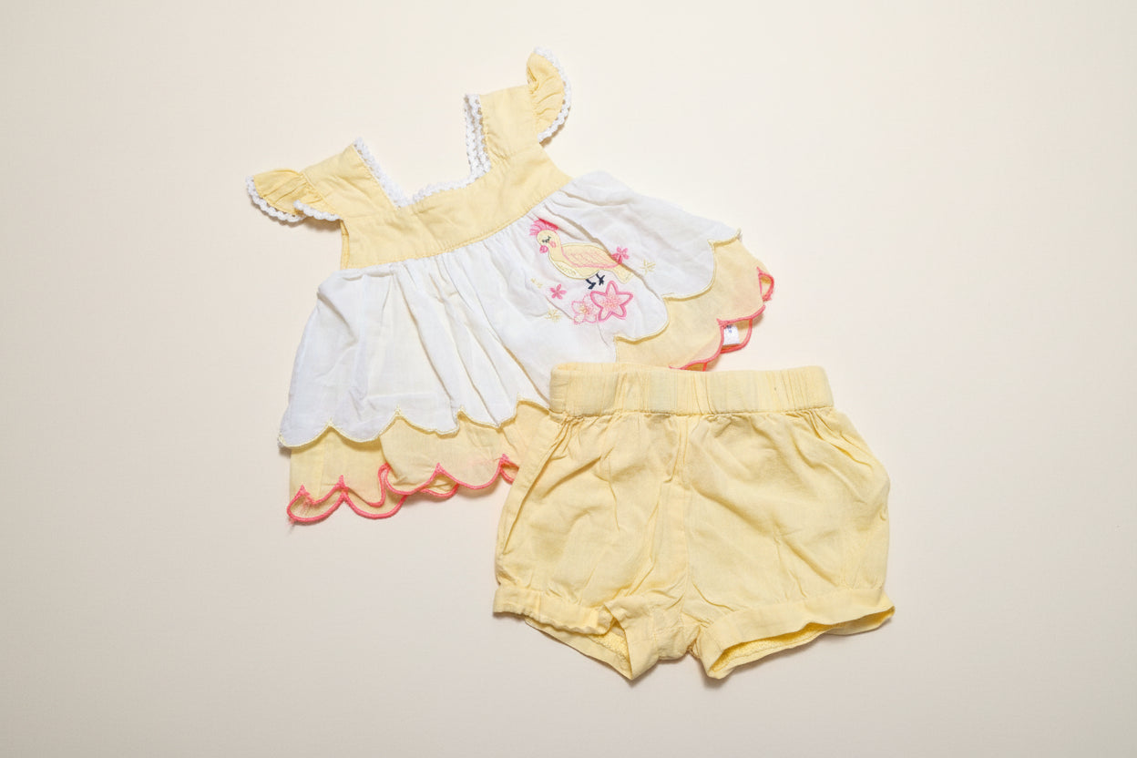 Pumpkin patch - Set